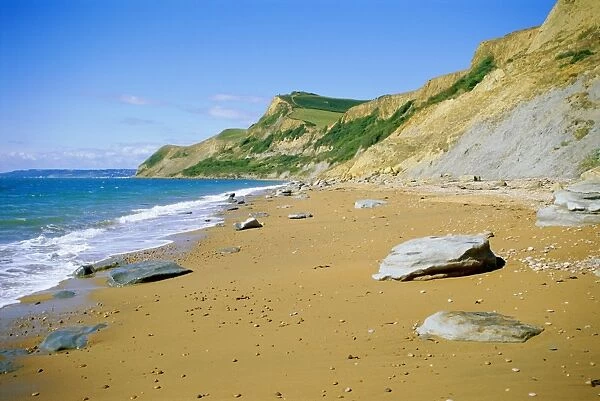 The coast and Thorncombe Beacon, Dorset, England, UK