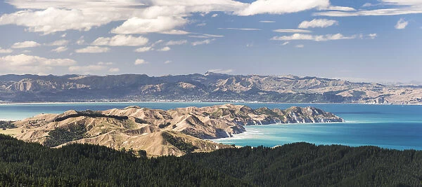 Coastal landscape, Gisborne Region, North Island, New Zealand