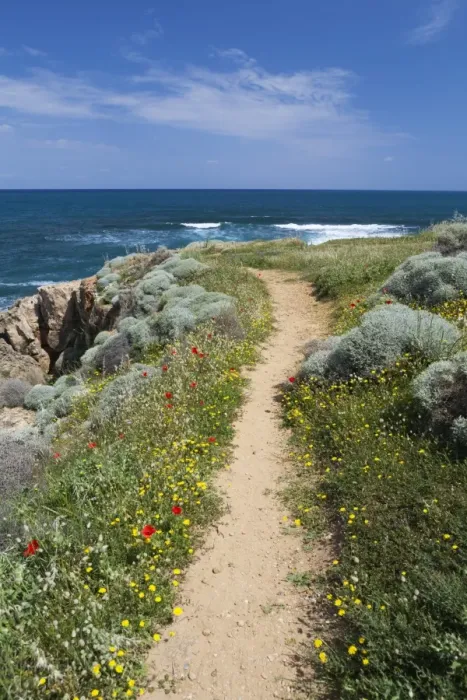 Framed Print : Coastal path with spring flowers, near Chania, Chania region, Crete, Greek Islands, Greece, Europe Framed Print : Coastal path with spring flowers, near Chania, Chania region, Crete, Greek Islands, Greece, Europe
