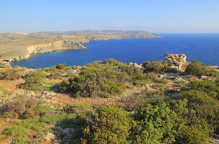 Framed Print : Coastal scenery vegetation, blue sea looking south from Res il-Qammieh, Marfa Peninsula, Republic of Malta, Mediterranean, Europe Framed Print : Coastal scenery vegetation, blue sea looking south from Res il-Qammieh, Marfa Peninsula, Republic of Malta, Mediterranean, Europe