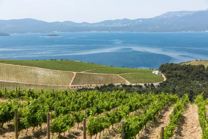 Framed Print : Coastal winery on the hills of the Dalmatian Coast, Croatia, Europe Framed Print : Coastal winery on the hills of the Dalmatian Coast, Croatia, Europe