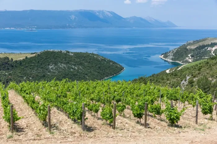 Framed Print : Coastal winery on the hills of the Dalmatian Coast, Croatia, Europe Framed Print : Coastal winery on the hills of the Dalmatian Coast, Croatia, Europe