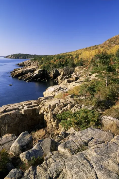 Framed Print : Coastline, Acadia National Park Framed Print : Coastline, Acadia National Park