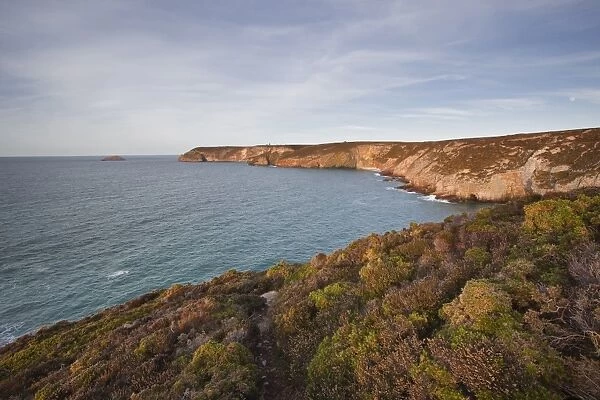 The coastline of Brittany on Cap Frehel, Cote d Emeraude (Emerald Coast), Brittany, France, Europe