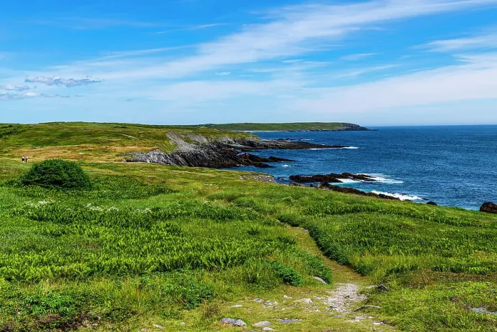 Framed Print : Coastline of Mistaken Point, UNESCO World Heritage Site, Avalon Peninsula, Newfoundland, Canada, North America Framed Print : Coastline of Mistaken Point, UNESCO World Heritage Site, Avalon Peninsula, Newfoundland, Canada, North America