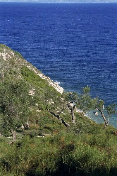 Coastline with trees on slope and blue sea beyond on Paxos
