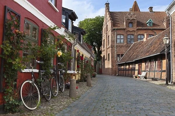 Cobblestone alley in the old town, Ribe, Jutland, Denmark, Scandinavia, Europe