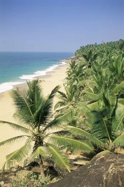 Coconut palms and beach