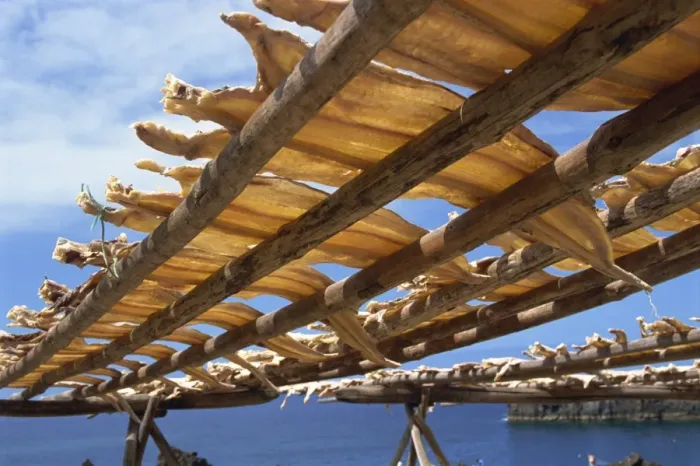 Framed Print : Cod drying, Camara de Lobos, Madeira, Portugal, Atlantic, Europe Framed Print : Cod drying, Camara de Lobos, Madeira, Portugal, Atlantic, Europe
