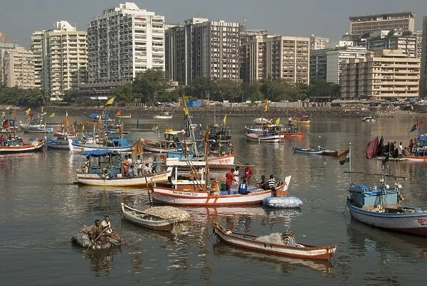 Colaba fishing fleet lands its catch in Back Bay, southern end of Mumbai city, Maharashtra, India, Asia