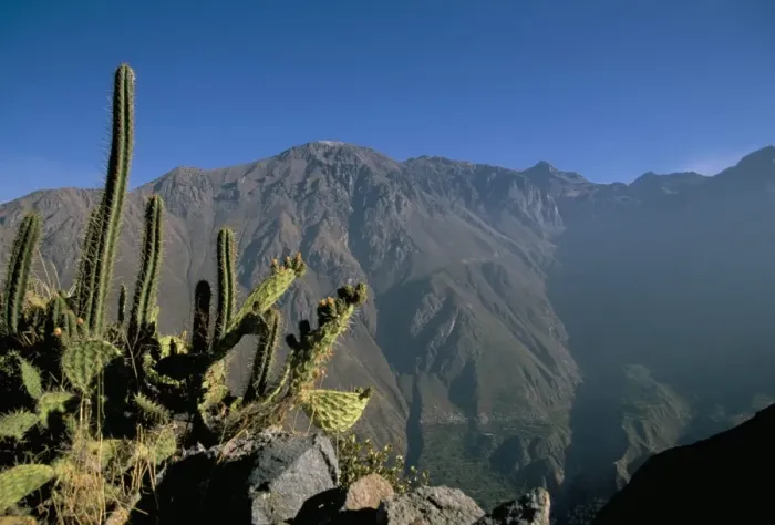 Framed Print : Colca Canyon