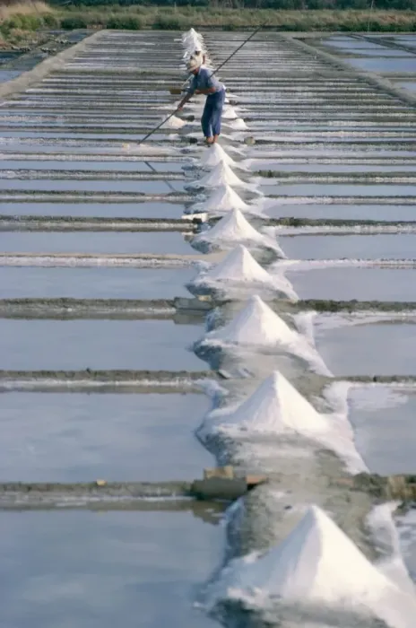 Framed Print : Collecting salt in the salt pans, Fier d Ars, Ile de Re, Charente Maritime Framed Print : Collecting salt in the salt pans, Fier d Ars, Ile de Re, Charente Maritime