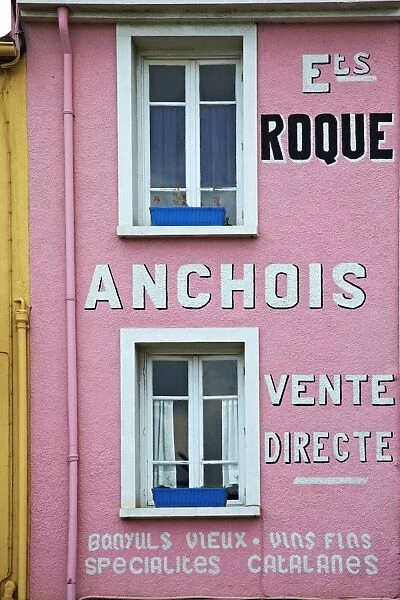 Collioure, Pyrenees Orientales, France, Europe