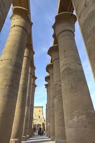 The Colonnade of Amenhotep III, Luxor Temple, Luxor, Thebes, UNESCO World Heritage Site