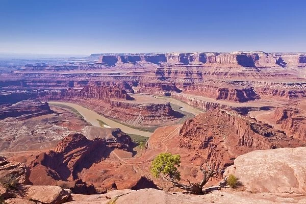 Colorado River Gooseneck Bend, Dead Horse Point State Park Overlook, Utah, United States of America, North America