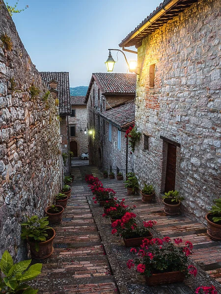 A colorful alley full of flowers at blue hour in Gubbio, Umbria, Italy, Europe