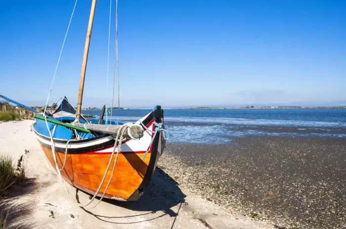 Framed Print : Colorful boats on the beach, Torreira, Aveiro, Beira, Portugal, Europe Framed Print : Colorful boats on the beach, Torreira, Aveiro, Beira, Portugal, Europe