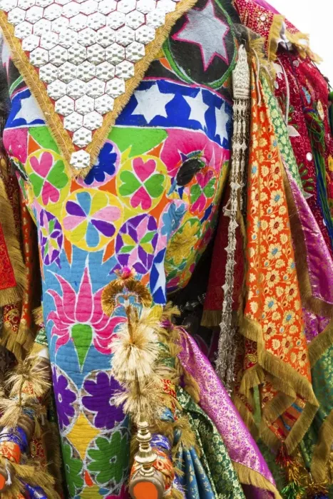 Framed Print : Colorful elephants at the Jaipur elephant festival, Jaipur, Rajasthan, India, Asia Framed Print : Colorful elephants at the Jaipur elephant festival, Jaipur, Rajasthan, India, Asia