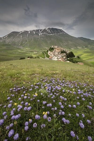 Colorful flowers in bloom frame the medieval village, Castelluccio di Norcia, Province of Perugia