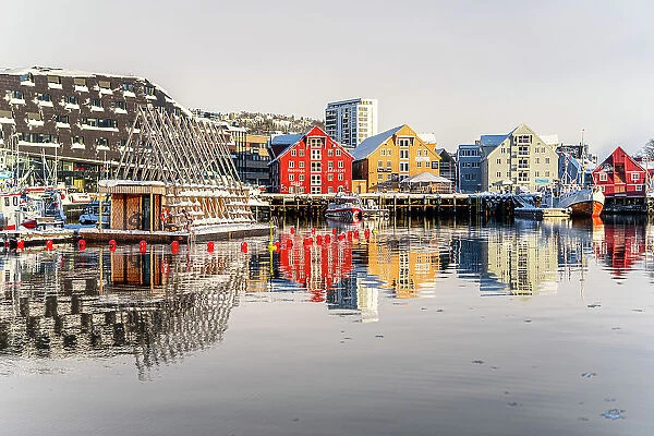 Colorful houses by the harbor mirrored in the cold sea at dawn, Tromso, Norway, Scandinavia, Europe