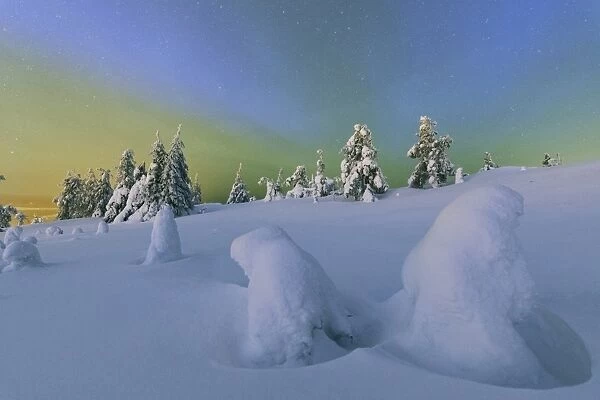 Colorful Northern Lights of the Aurora Borealis and starry sky on the snowy woods