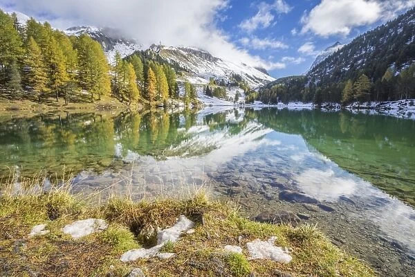 Colorful trees and snowy peaks reflected in Lai da Palpuogna, Albula Pass, Engadine
