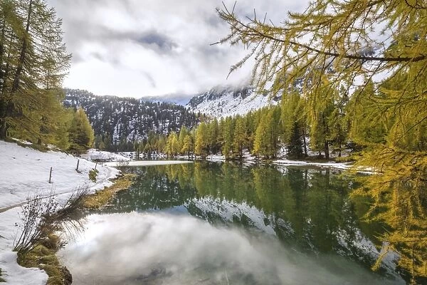 Colorful trees and snowy woods reflected in Lai da Palpuogna, Albula Pass, Engadine