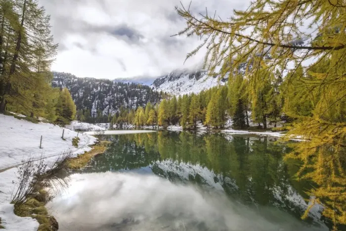 Framed Print : Colorful trees and snowy woods reflected in Lai da Palpuogna, Albula Pass, Engadine Framed Print : Colorful trees and snowy woods reflected in Lai da Palpuogna, Albula Pass, Engadine