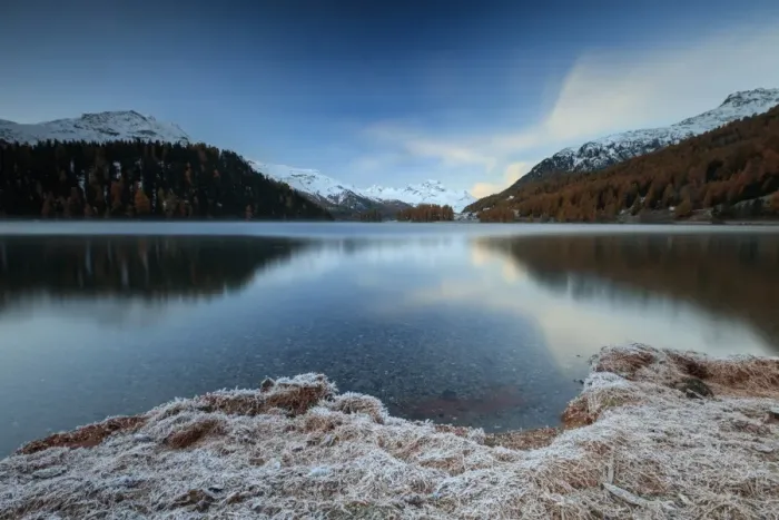 Framed Print : The colorful woods and snowy peaks are reflected in Lake Sils at daw, Maloja, Canton of Graubunden Framed Print : The colorful woods and snowy peaks are reflected in Lake Sils at daw, Maloja, Canton of Graubunden