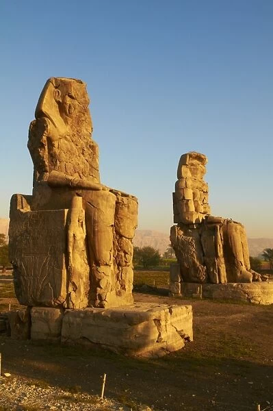 Colossi of Memnon, carved to represent the 18th dynasty pharaoh Amenhotep III, West Bank of the River Nile, Thebes, UNESCO World Heritage Site, Egypt, North Africa, Africa