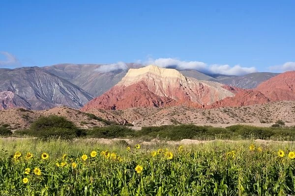 Coloured mountains, Salta district, Argentina, South America