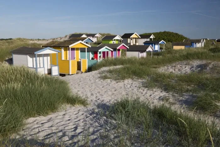 Framed Print : Colourful beach huts in sand dunes, Skanor Falsterbo, Falsterbo Peninsula, Skane Framed Print : Colourful beach huts in sand dunes, Skanor Falsterbo, Falsterbo Peninsula, Skane