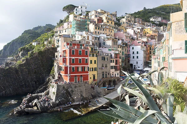 Colourful buildings by sea, Riomaggiore, Cinque Terre, UNESCO World Heritage Site