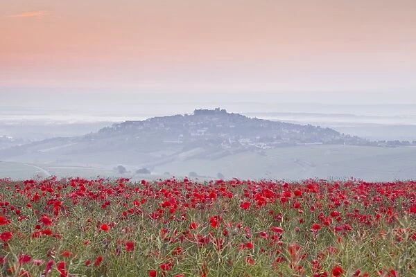 A colourful display of poppies above the village of Sancerre in the Loire Valley, Cher, Centre, France, Europe