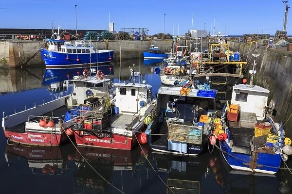 Colourful fishing boats in harbour on a sunny summer evening, Seahouses, Northumberland