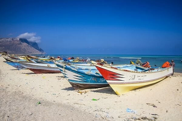Colourful fishing boats in Qalansia on the west coast of the island of Socotra, UNESCO World Heritage Site, Yemen, Middle East