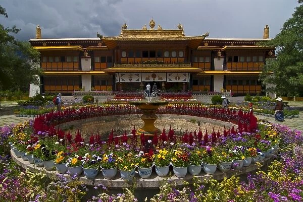 Colourful flowers at the Summer Palace, Lhasa, Tibet, China, Asia