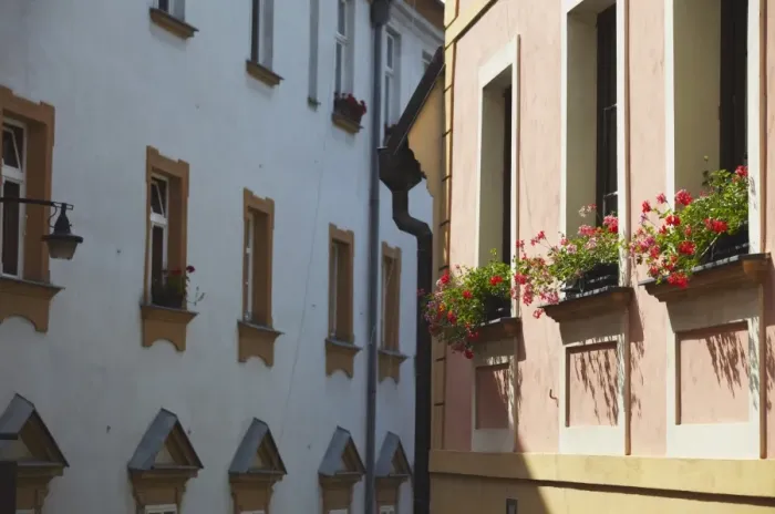 Framed Print : Colourful flowers on window sills, Olomouc, Moravia, Czech Republic, Europe Framed Print : Colourful flowers on window sills, Olomouc, Moravia, Czech Republic, Europe