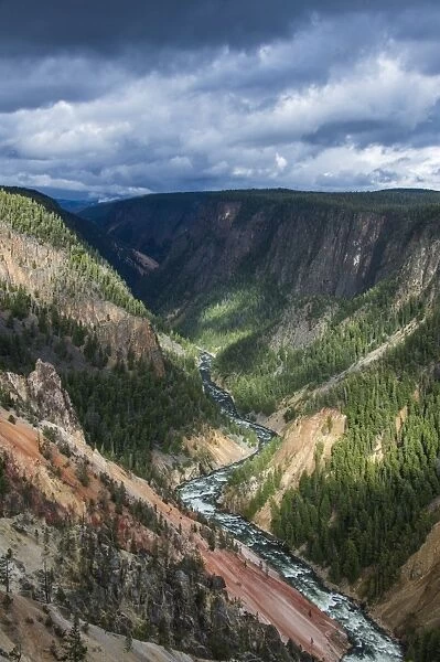 The colourful Grand Canyon of the Yellowstone, Yellowstone National Park, UNESCO World Heritage Site, Wyoming, United States of America, North America