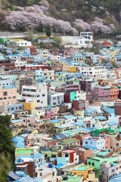Framed Print : Colourful houses of Gamcheon Culture Village, Busan, South Korea, Asia Framed Print : Colourful houses of Gamcheon Culture Village, Busan, South Korea, Asia