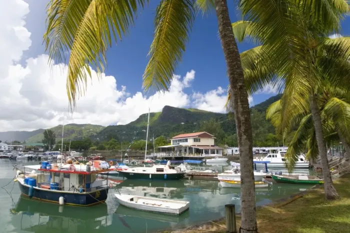 Framed Print : The colourful palm-lined harbour, Victoria, Island of Mahe, Seychelles Framed Print : The colourful palm-lined harbour, Victoria, Island of Mahe, Seychelles