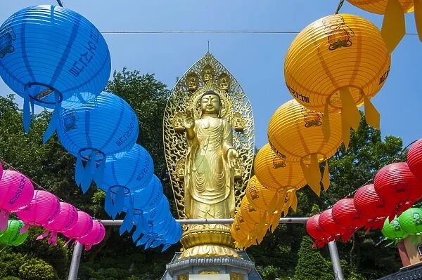 Colourful paper lanterns in front of a golden Buddha in the fortress of Suwon, UNESCO World Heritage Site, Suwon, South Korea, Asia
