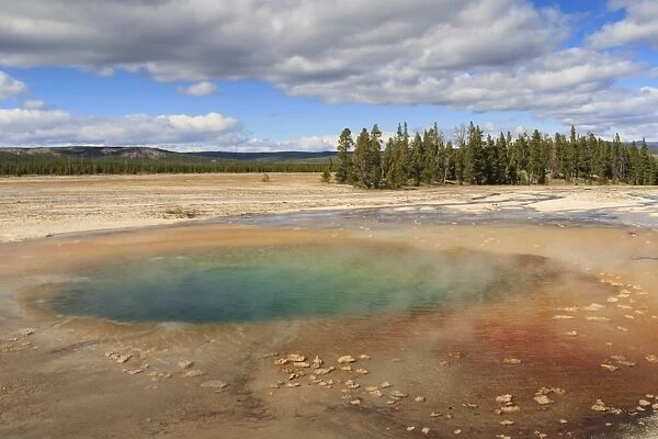 Colourful Pool, Midway Geyser Basin, Yellowstone National Park, UNESCO World Heritage Site, Wyoming, United States of America, North America