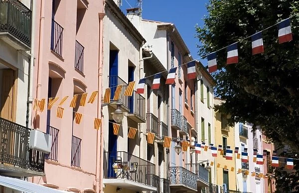Colourful street, Collioure, Pyrenees-Orientales, Languedoc, France, Europe
