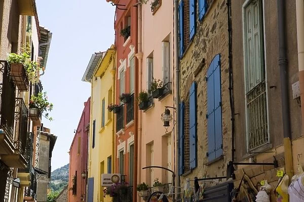 Colourful street, Collioure, Pyrenees-Orientales, Languedoc, France, Europe