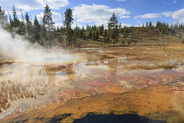 Colourful thermal features, Upper Geyser Basin, Yellowstone National Park, UNESCO World Heritage Site, Wyoming, United States of America, North America