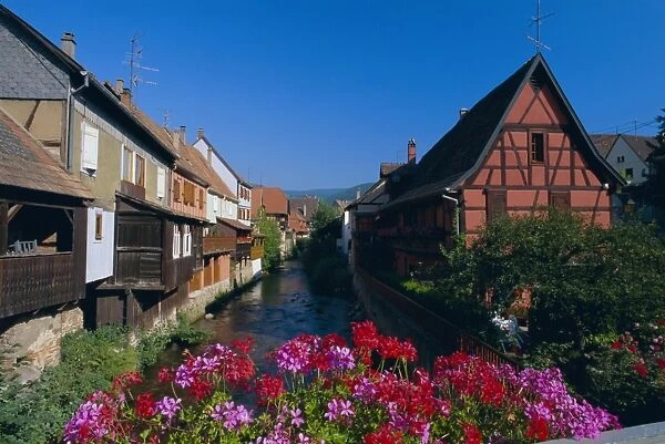 Colourful timbered houses on the banks of the river Weiss, Kaysersberg