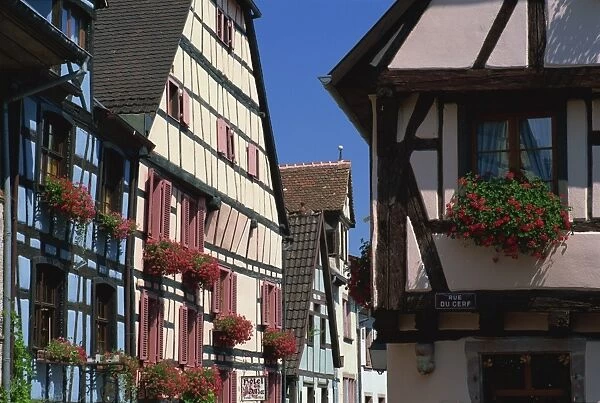 Colourful timbered houses, Riquewihr, Haut-Rhin, Alsace, France, Europe