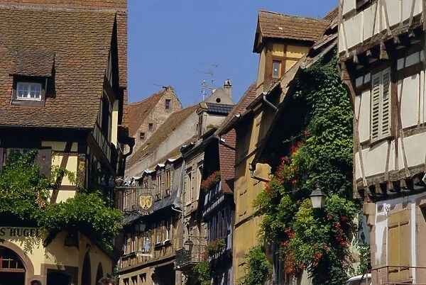 Colourful timbered houses, Riquewihr, Haut-Rhin, Alsace, France, Europe