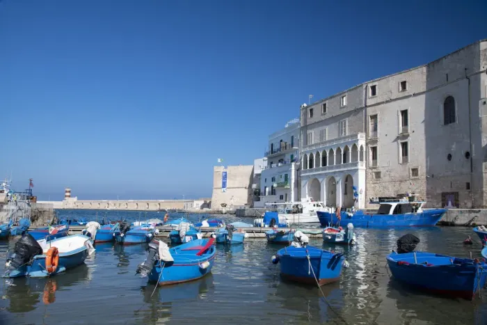 Framed Print : Colourful wooden boats in the harbour in Monopoli, Puglia, Italy, Europe